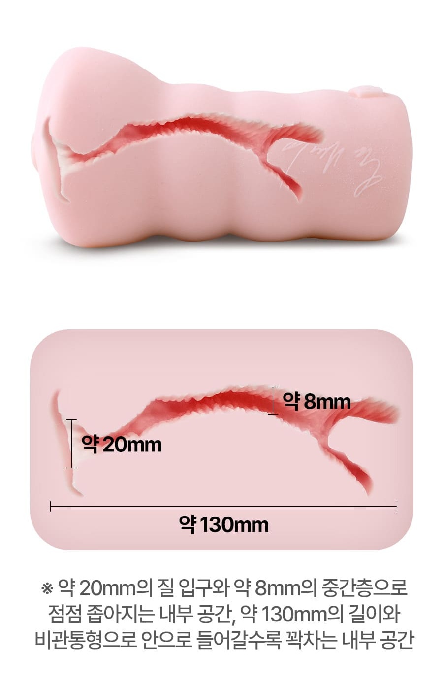 이채담 제품 내부 단면